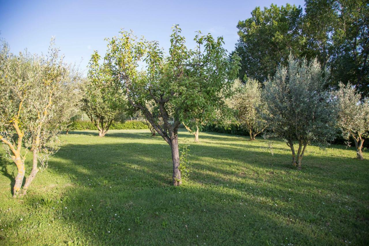 Bed and Breakfast Il Casale Di Nonno Guido à Monterado Extérieur photo