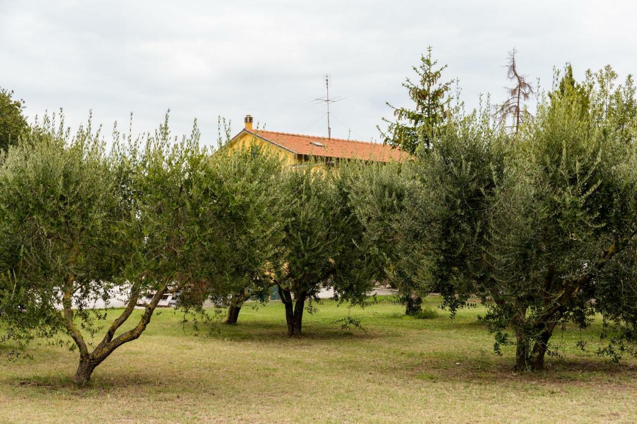 Bed and Breakfast Il Casale Di Nonno Guido à Monterado Extérieur photo